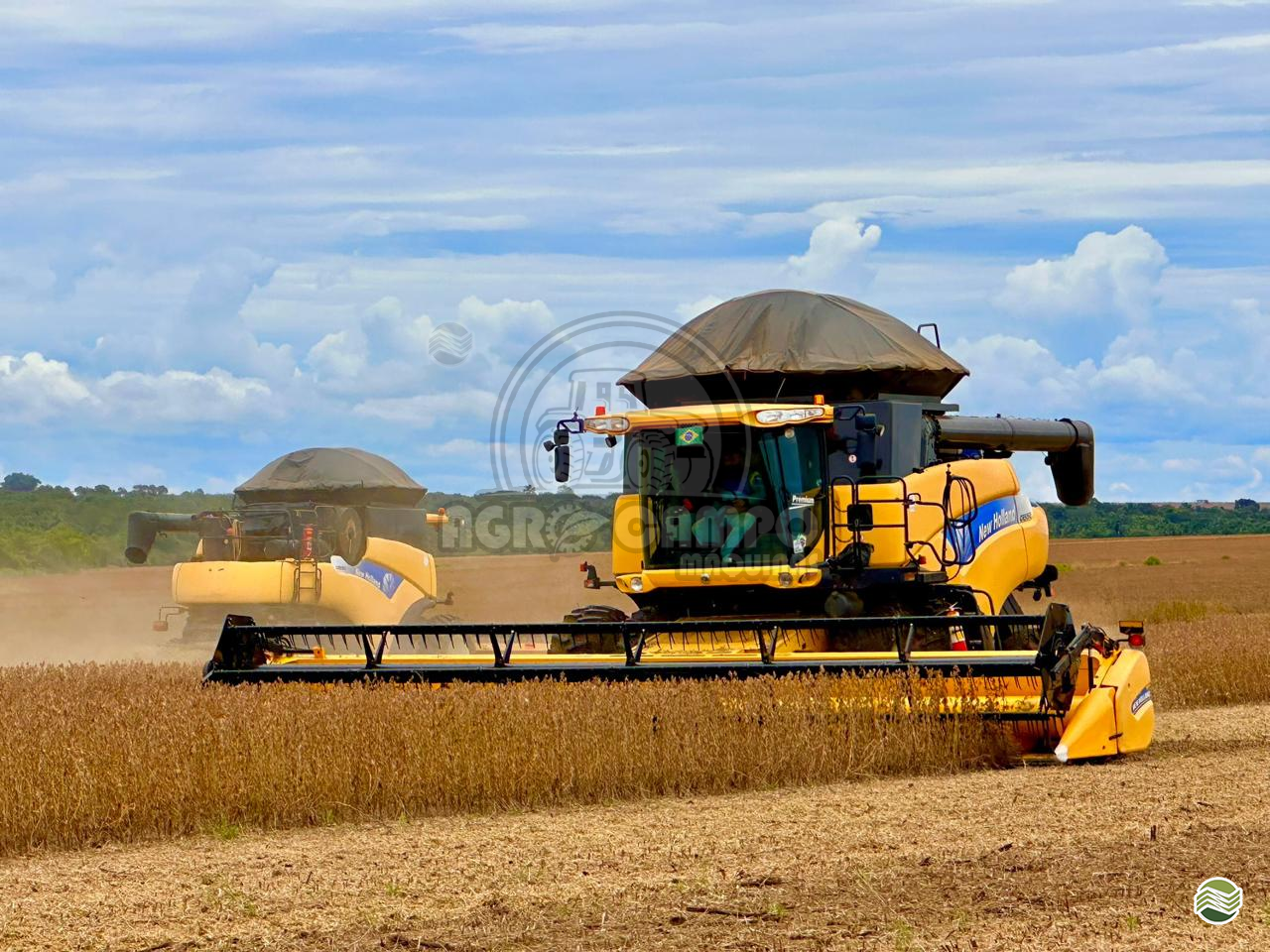 COLHEITADEIRA NEW HOLLAND CR 9060 Agro Campo Máquinas Agrícolas PRIMAVERA DO LESTE MATO GROSSO MT